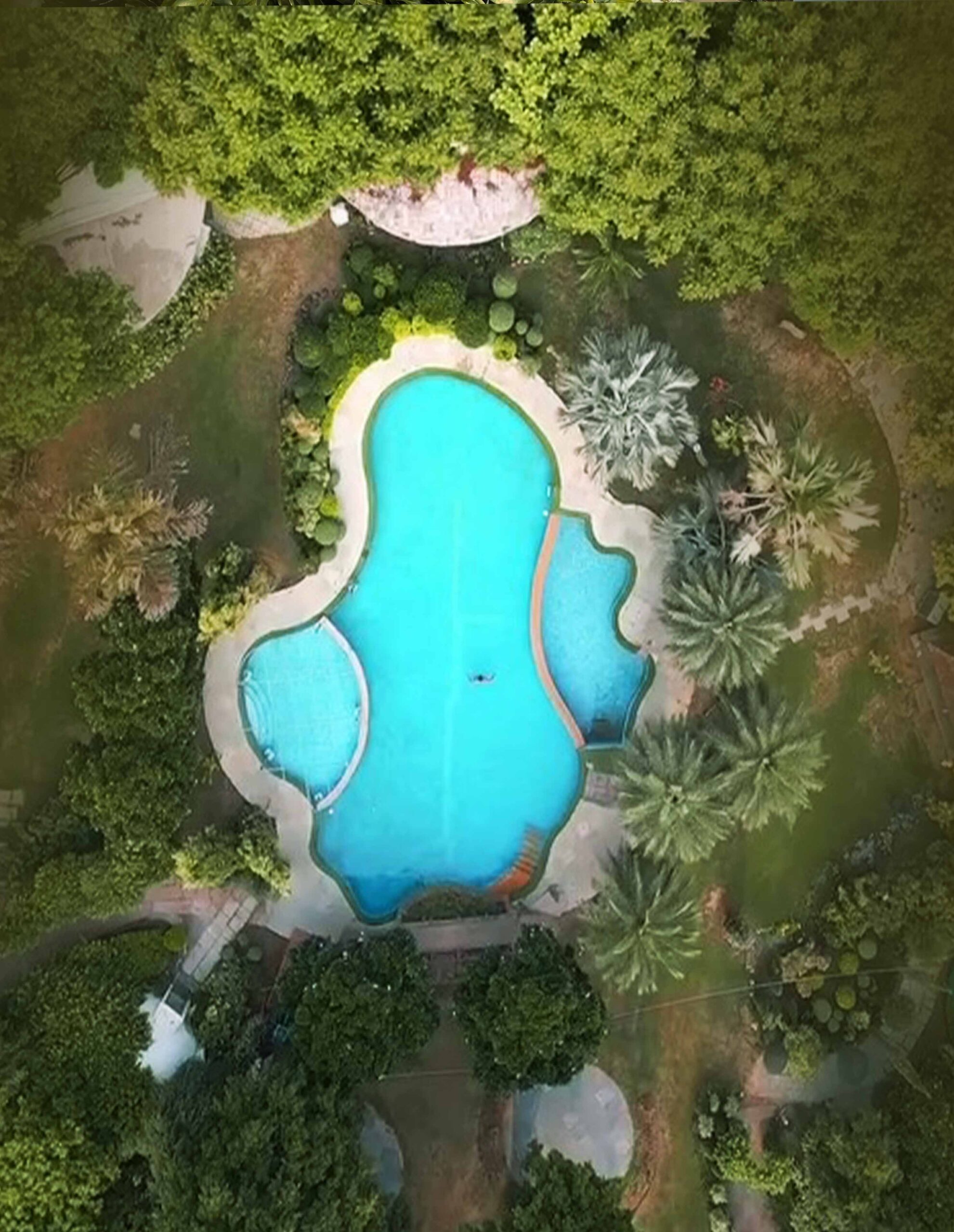 Botanix Nature Resort Swimming pool