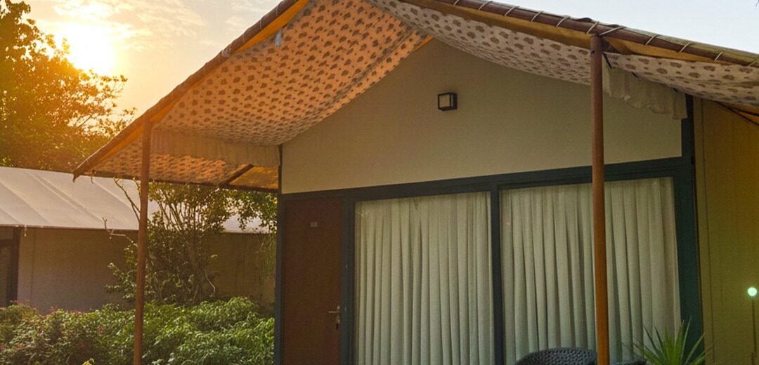 Serene forest landscape at Botanix Nature Resort, a peaceful nature retreat surrounded by lush greenery in Gurgaon.