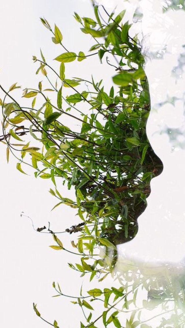 Regenerative garden design at Botanix Nature Resort