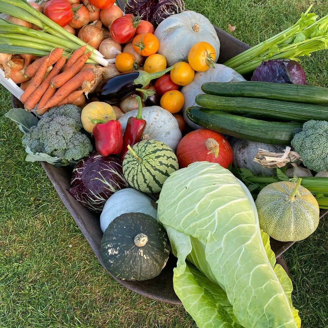 Fresh, seasonal produce from Botanix’s organic vegetable garden