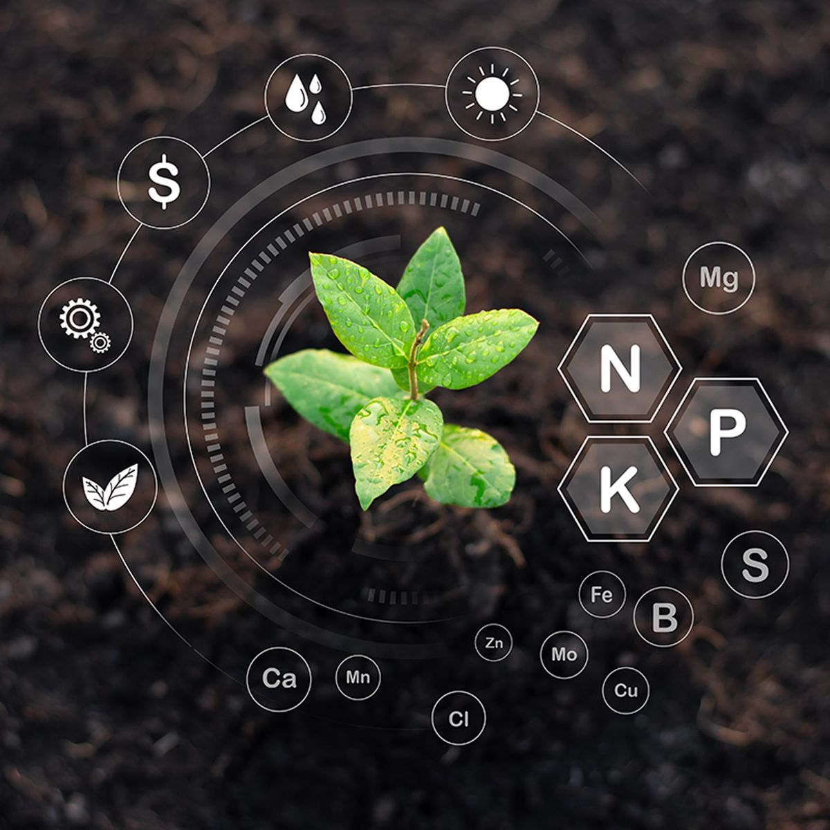 Sustainable water-wise landscaping at Botanix with native plants and mulch