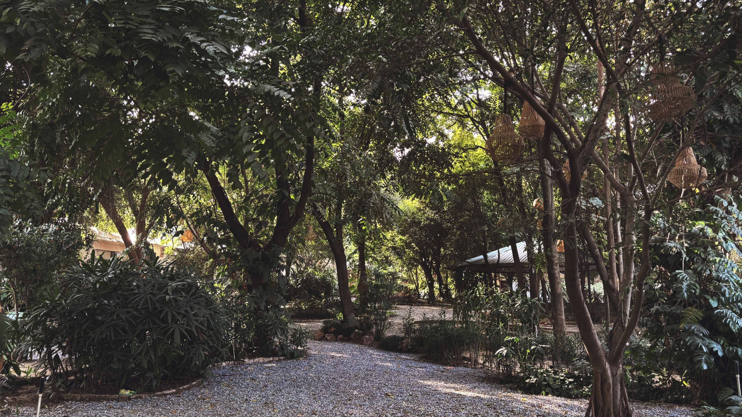 Scenic view of Botanix Nature Resort — natural landscape and eco cottages