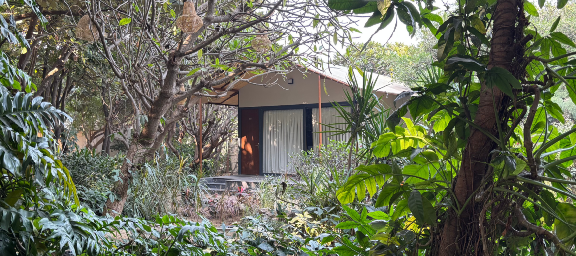 Forest tent accommodation at Botanix Nature Resort near Gurgaon