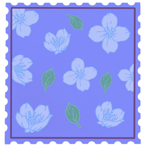 Untitled design (72)